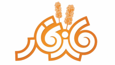 ماندگار